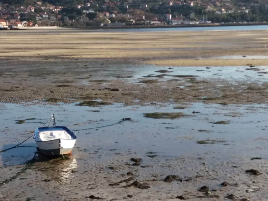 Crônicas na bagagem